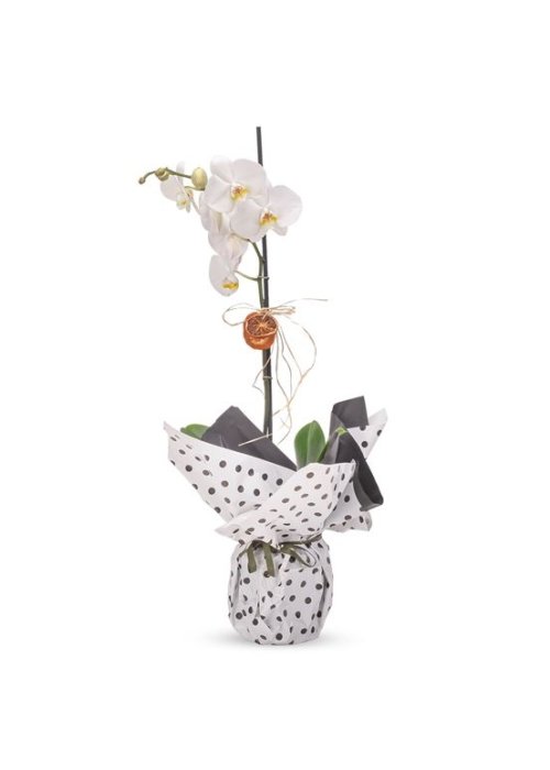 Her çiçeğinde özel bir anlam saklı❤