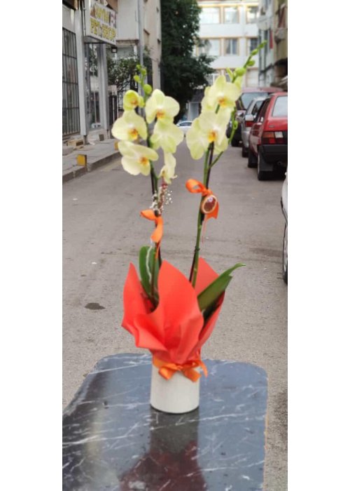 Kalpten gelen sürprizler❤