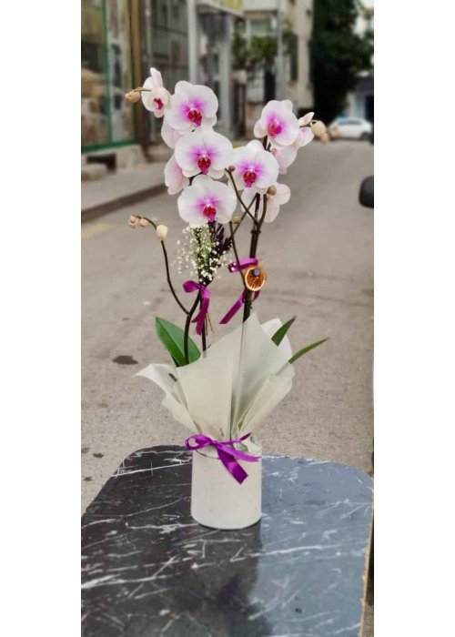 Kaliteye olan bağlılık ❤