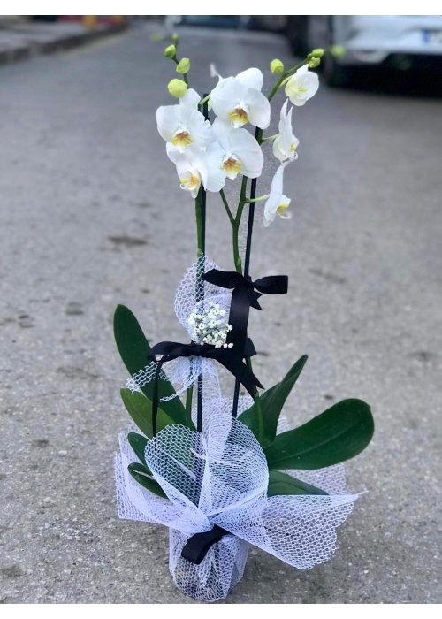 Hayallerle dolu bir sembol ❤