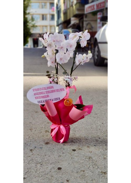 Nadirliğin kraliçesi❤