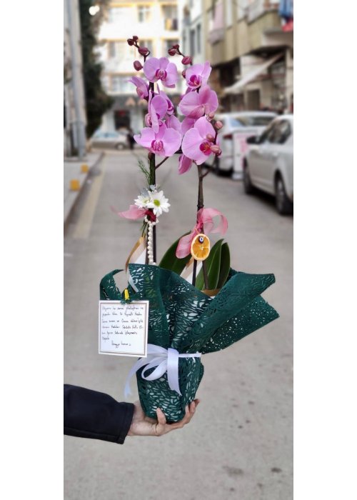 Bazıları çok şanslı ❤