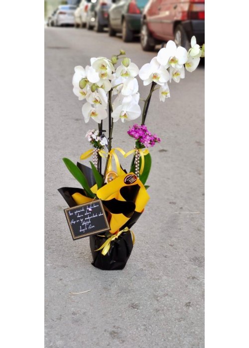 Şıklığın yansıması❤