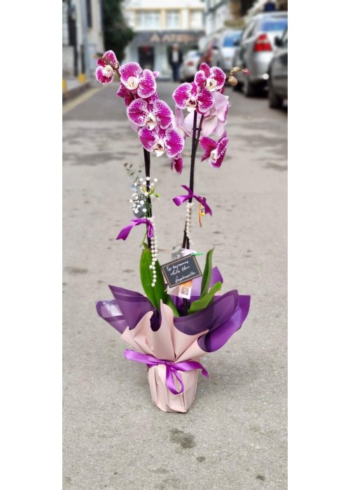 zarafetin şıklığı❤