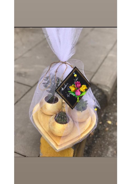 DOĞUM GÜNÜ ÇİÇEKLERİ