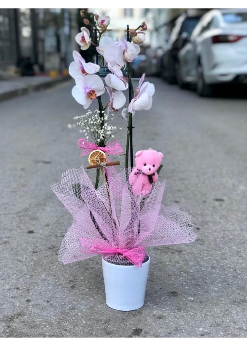 Bazı çiçekler sadece güzel değildir onlar bir hikaye anlatır❤